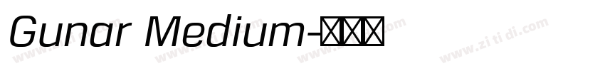 Gunar Medium字体转换